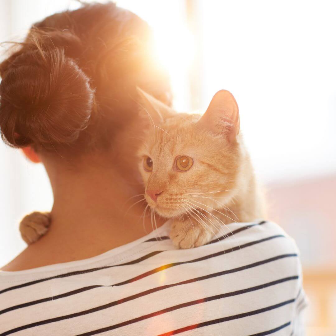 pet wellness icon