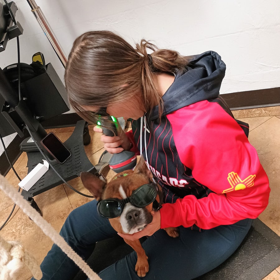 How-Does-Pet-Laser-Therapy-Work
