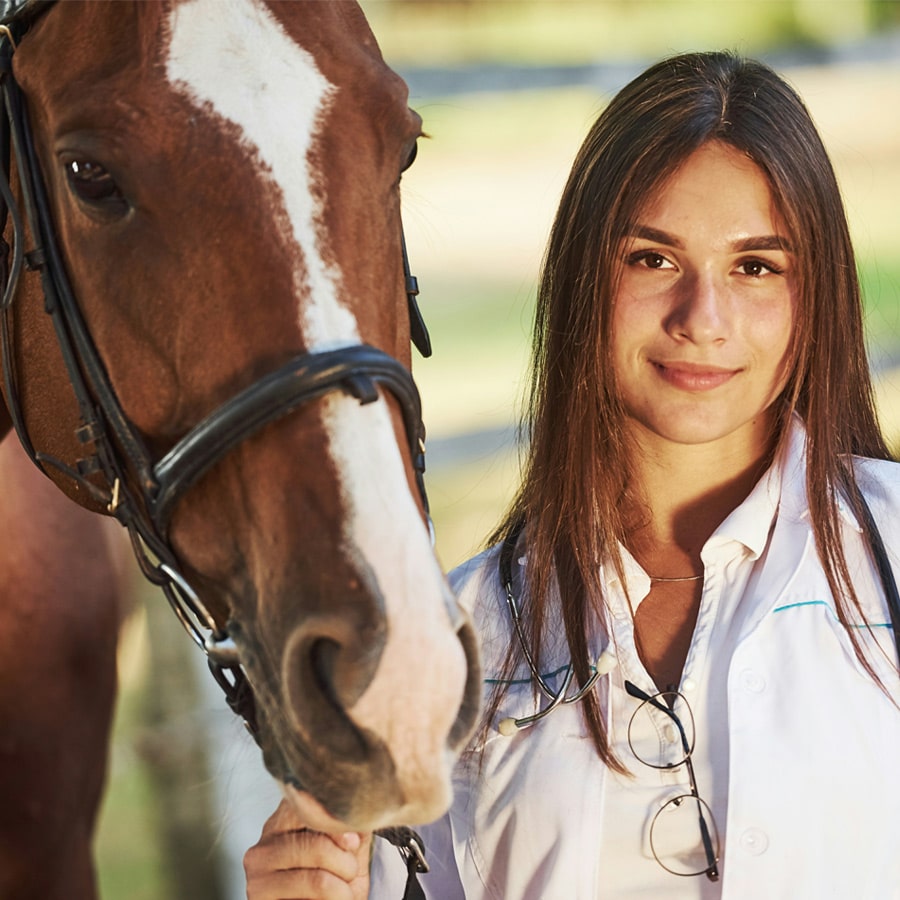 Microchipping-for-Horses