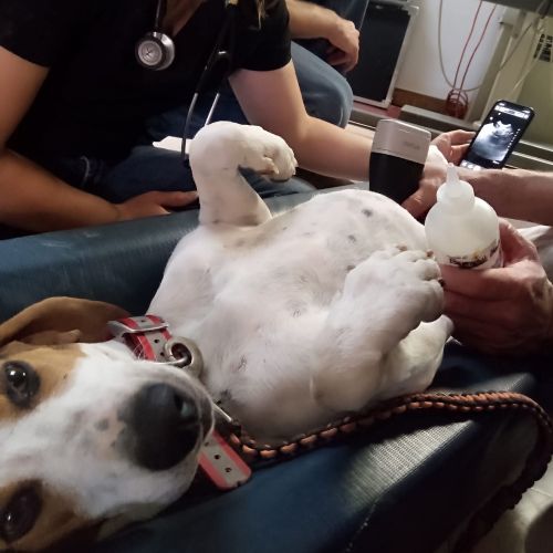 Ultrasound