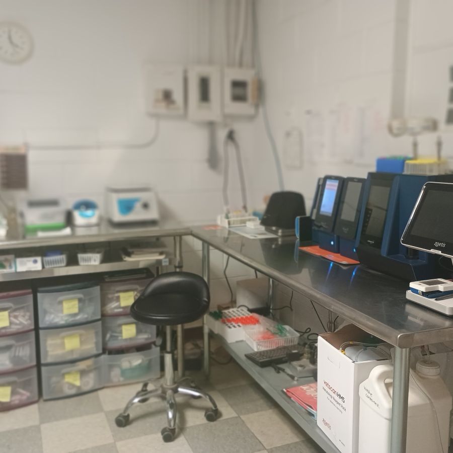 working in house lab